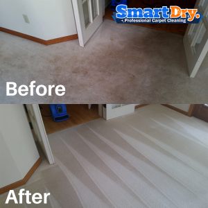 Natural-Organic-Carpet-Cleaning-Service-San-Diego