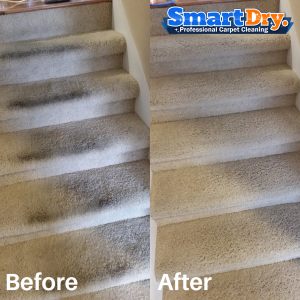 Near-Me-Carpet-Cleaning-Service-San-Diego