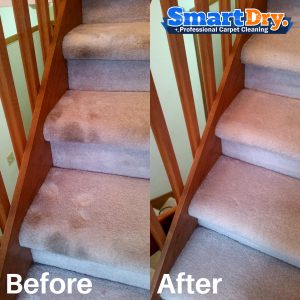 No-Chemical-Carpet-Cleaning-Service-San-Diego