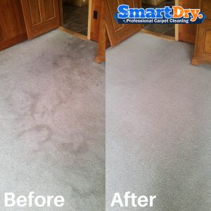 No-Chemicals-Carpet-Cleaning-Service-San-Diego-Carpet-Cleaning