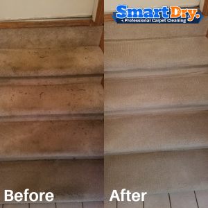 No-Residue-Carpet-Cleaning-Service-San-Diego