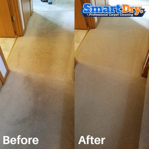 No-Rez-Carpet-Cleaning-Service-San-Diego