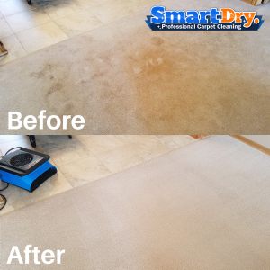 Non-Toxic-Carpet-Cleaning-Service-San-Diego