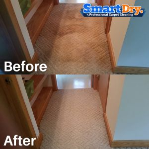 Pet-Urine-Carpet-Cleaning-Service-San-Diego