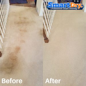 Portable-Carpet-Cleaning-Service-San-Diego