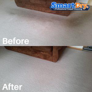 Price-List-Carpet-Cleaning-Service-San-Diego