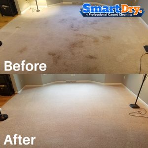 Professional-Carpet-Cleaning-Service-San-Diego