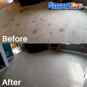 Pure-Carpet-Cleaning-Service-San-Diego