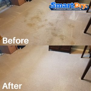 Quick-Carpet-Cleaning-Service-San-Diego