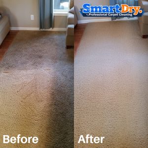 Reliable-Carpet-Cleaning-Service-San-Diego