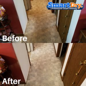 Residential-Carpet-Cleaning-Service-San-Diego