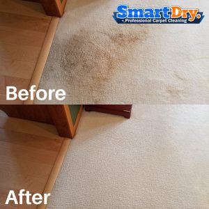 Saltillo-Cleaning-Service-San-Diego