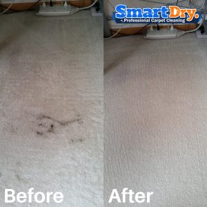 San-Diego-Carpet-Cleaning-Steam-Carpet-Cleaning