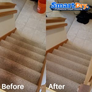 Smell-Odor-Removal-Carpet-Cleaning-Service-San-Diego