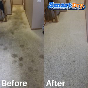 Stain-and-Spot-cleaning-Carpet-Cleaning-Service-San-Diego