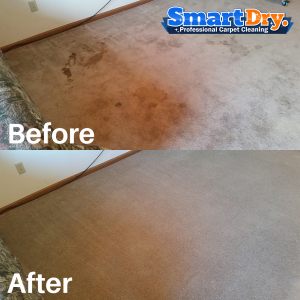 Steam-Carpet-Cleaning-Service-San-Diego