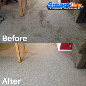 Top-Rated-Carpet-Cleaning-Service-San-Diego