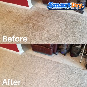 Vacation-Rental-Carpet-Cleaning-Service-San-Diego