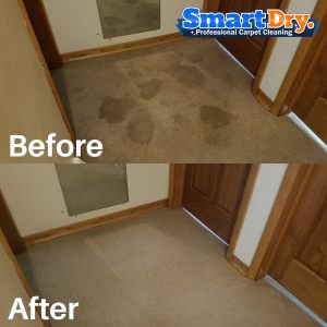 Zero-residue-Carpet-Cleaning-Service-San-Diego